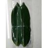 Buy cheap Vacuum Packed 23cm Fresh Bamboo Leaves For Rice Dumplings from wholesalers