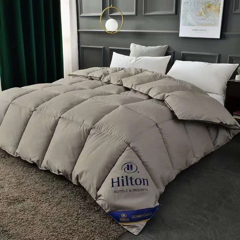 Hilton Duvet Double Spring Autumn Winter Quilt Core and Hot Style for Micro-Business