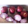 Buy cheap Metabolism Enhancing Fresh 6cm Restaurant Red Onion from wholesalers