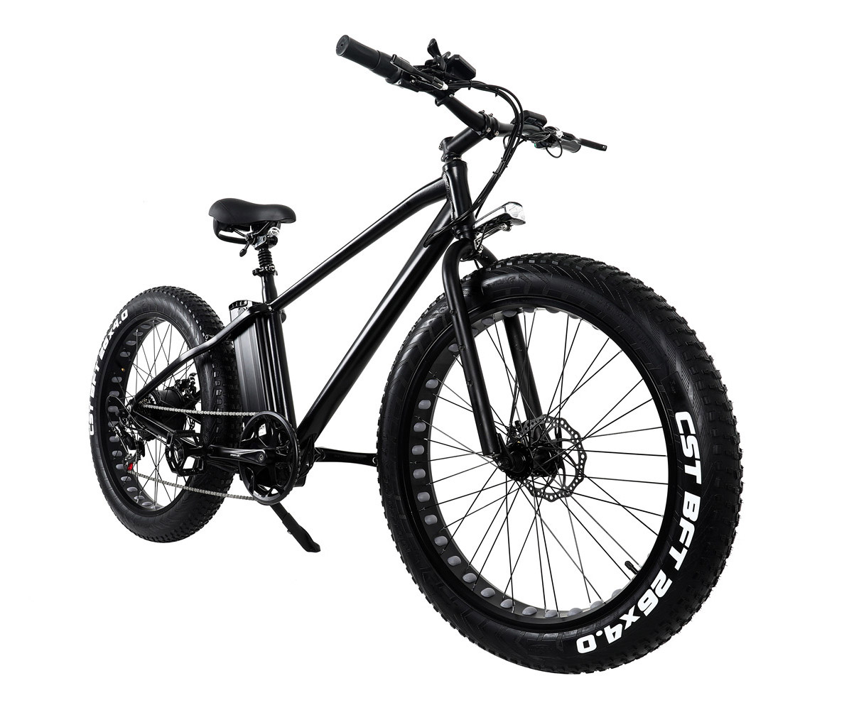 500W 750W Fat Tyre Electric Sport Bike With Double Disc Brake LCD Display High Power