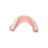 Buy cheap Semi Transparent Pink Biocompatible 3d Resin Light Curing Dental Resin from wholesalers
