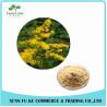 Buy cheap Water Soluble Witch Hazel P.E./Herbal Hamamelis Virginiana Extract for Cosmetic from wholesalers