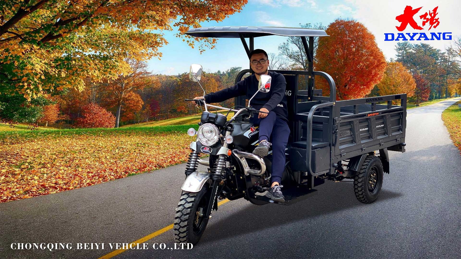 DAYANG Prince Grey Motorized Tricycles with 200CC Engine and 1000kg Loading Capacity