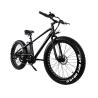 Buy cheap 500W 750W Fat Tyre Electric Sport Bike With Double Disc Brake LCD Display High Power from wholesalers