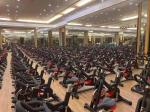 Wholesale Professional Home Gym Fitness Equipment Spinning Indoor Bike