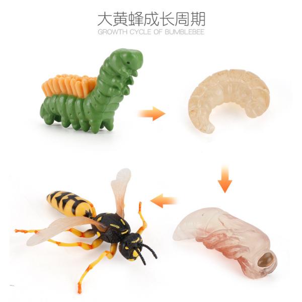 Buy cheap Hornet Life Cycle Figure Model Toy For Boys Girls Kids from wholesalers