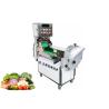 Buy cheap Leafy And Root Vegetable Processing Equipment Multifunctional 110V 2.5KW from wholesalers