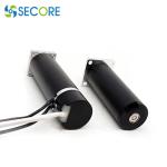 Ironless Coreless Bldc Motor 22mm 24V High Torque Power Tool 117W