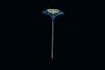 Percutaneous Kyphoplasty Kit Stainless Steel / ABS Main Material
