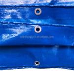 PE Coated Sun Resistant Blue Polyethylene Tarpaulin for Rainproof and Moisture