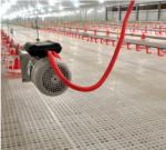 Poultry Equipment Chicken Feeders Drinkers Poultry Automatic Animal Feeders