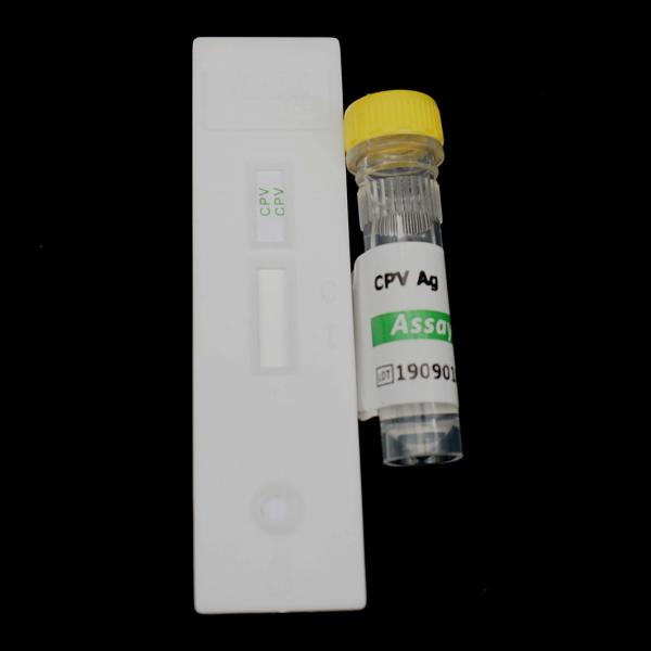Buy cheap Cassette Canine Parvovirus Veterinary Rapid Test Kits 10 Minutes Test Time from wholesalers