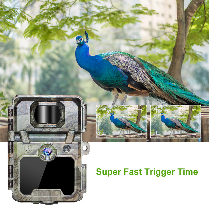 Hidden 2.4 Inch LCD 30MP Wildlife Hunting Camera PIR Sensitivity