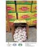 Buy cheap Garlic to Brazil from wholesalers