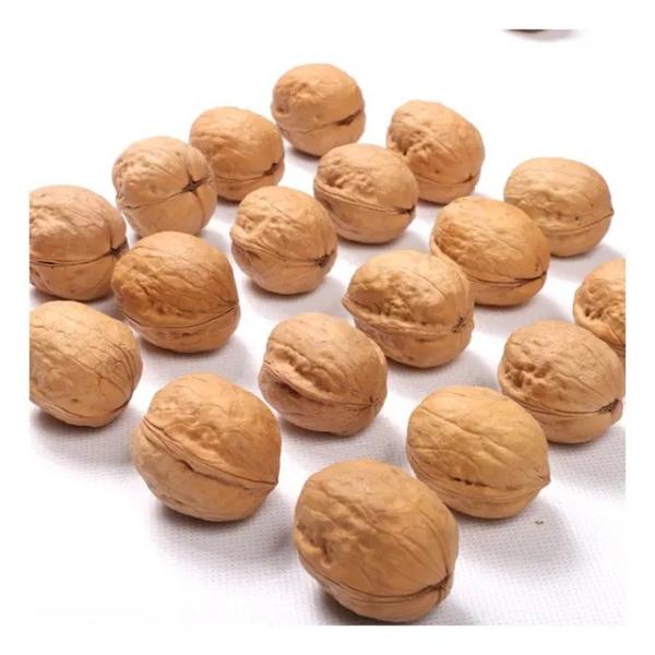 Buy cheap Amazon hot sale High Quality Cheap Wholesale Price Dried Raw Walnuts For sale from wholesalers