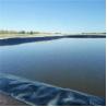 Buy cheap Geomembranes for Landfill Cover High Reinforcement 500 Micron HDPE Geomembrane Liner from wholesalers