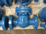 Food Industry Swing Type NRV Check Valve