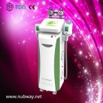 Biggest Promotion!!! NUBWAY low price most professional cryolipolysis freeze fat