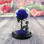 Preserved Fresh Flower Live Enchanted Rose in Glass Dome Cover with Gift Box