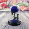 Buy cheap OEM Perfect Valentines Day Gifts Multiple Colours Preserved Everlasting Real Rose Flower in Glass Dome from wholesalers