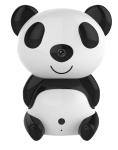 hidden camera toy