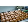 Buy cheap Turnkey Automatic Bread Production Line from wholesalers