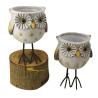 Buy cheap Outdoor TerraCotta Animal Garden Ornaments Owl Garden Planters For Patio from wholesalers
