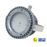 Oil Industrial Zone 1 Explosion Proof Lighting 30W 45W Energy Saving