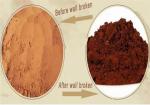Reishi Mushroom / Lucid Ganoderma Extract Polysaccharides 10% - 60%