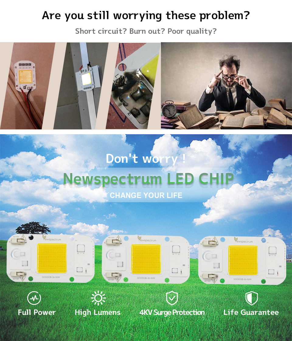 AC110V AC LED Module COB Chip No Need Driver For Greenhouse Lights