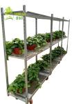 Heave Duty Greenhouse Carts Danish Shelves Flower And Plant Trolleys