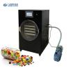 Buy cheap Fruits Vegetables Vacuum Freeze Dryer Home Digital Control Lyophilizer from wholesalers