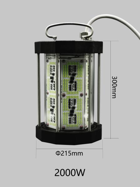 Buy cheap Powerful 2000W Best LED Fishing Light For Deep Sea , Waterproof Fishing Light For Boats from wholesalers