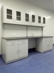 College Steel Chemistry Lab Furniture / Laboratory Workbench With Reagent