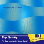 PLASTIC LENTICULAR fly eyes lenses array Lenticular sheet 3d fly eye lens pp