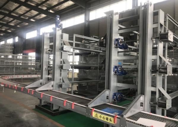 Buy cheap Poultry Farm 2 Cell 8 Tiers H Type Layer Chicken Cage from wholesalers