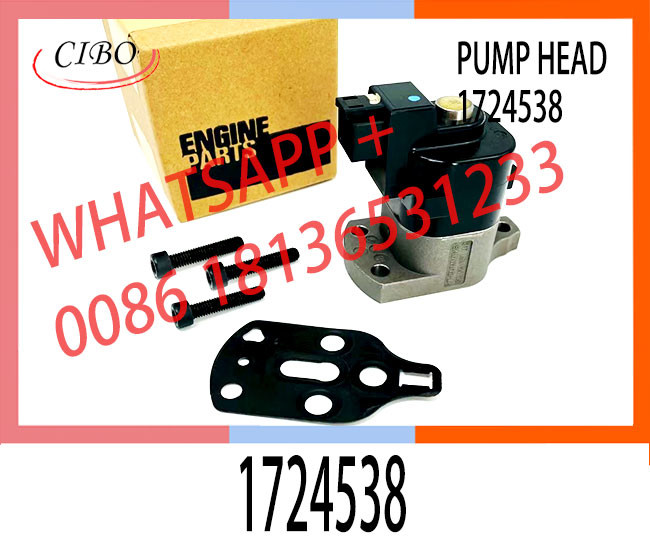 High Quality Diesel Fuel Injection Pump DPA Head Rotor For 1724538