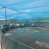 Buy cheap Direct 0.5mm Eco-Friendly HDPE Plastic Geomembrane for Fish Pond Roll Length 50-200m from wholesalers