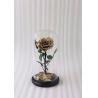 Buy cheap Natural Fresh Roses Flowers Everlasting Preserved Eternal Rose beautiful Rose Preserved Flower from wholesalers