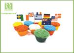 Flag Food Picks Cocktail Accessories , Square Round British / American Flag