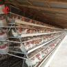 Buy cheap High Rearing Efficiency For Chicken Farm Poultry Farming Cage System Sandy from wholesalers