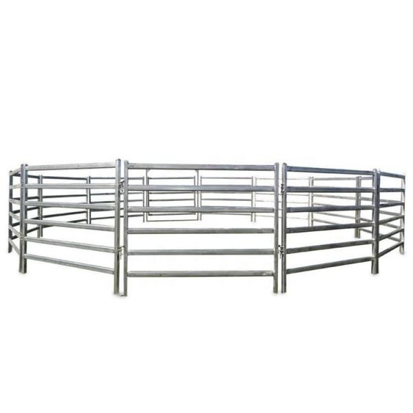 Buy cheap 12 Ft Powder Coated Animal Fencing Hot Diped Galvanized Steel Pipe from wholesalers