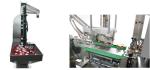 Taichuan factory price bottle/box sealing labeling machine in business