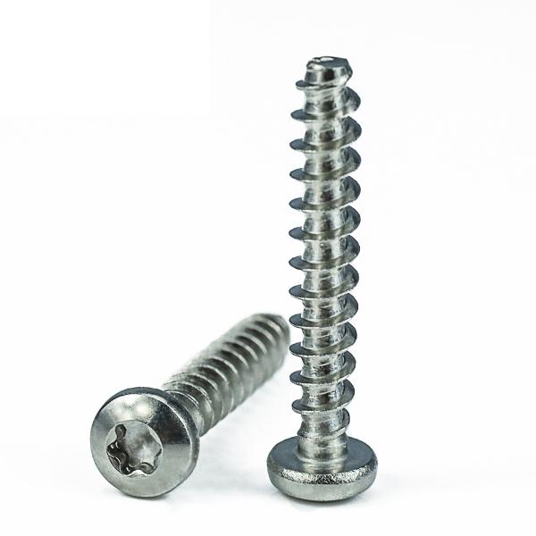 1mm-500mm Length Stainless Steel Passivation Torx Drive Thread Forming PT Screw