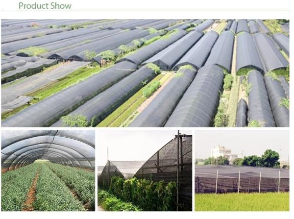 Buy cheap UV Treated Greenhouse Shade Net / Green Garden Net For Roofing Agriculture Cover from wholesalers