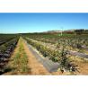 Buy cheap Anti Weed Polypropylene Ground Cover Pp Woven Fabric 2.05m X 100meter from wholesalers