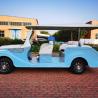 Buy cheap ODM Blue Electric Classic Golf Cart Trolley 20 Mph 48V from wholesalers