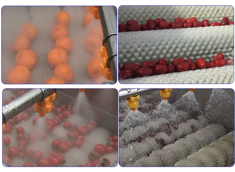 JOYSHINE Group's Mango Washing Machine Easy to Operate at 500kg/h Production Capacity