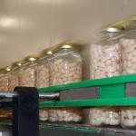 Automatic canned beans production line white kidney bean canned food production