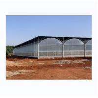 Buy cheap Intelligent Greenhouse For Tomato Cultivation Multi Span Film Green House By product
